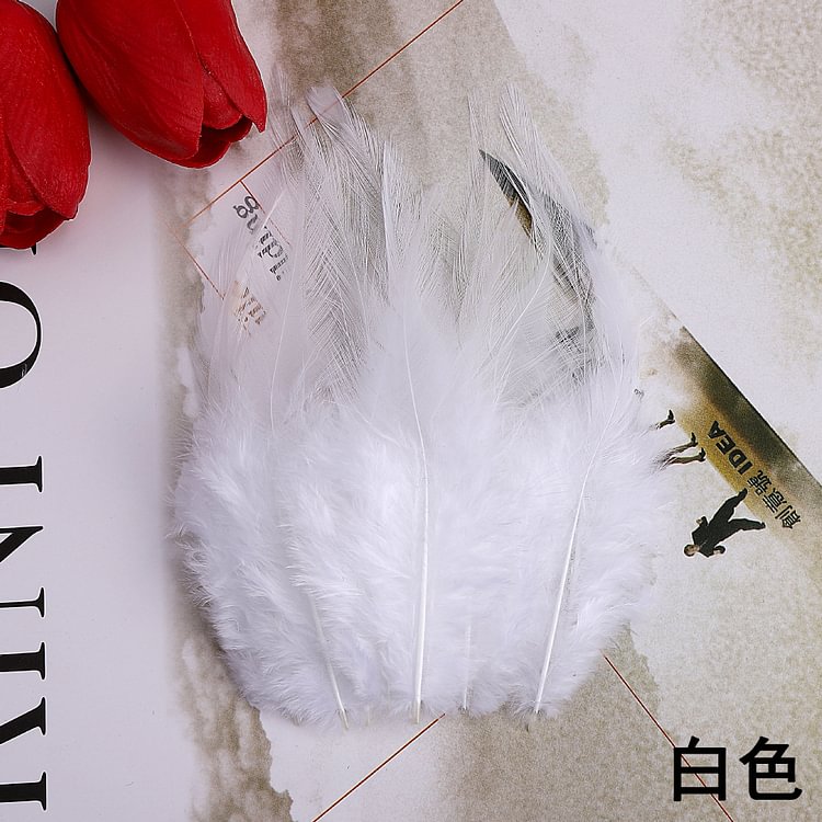 Feathers for Dream Catcher 100 Pcs F02