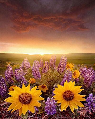 

Lavender And Sunflower on Wild – Paint By Numbers - 40*50CM, 501 Original