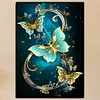 Peinture ronde papillon de diamant de perceuse-30*40cm