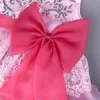 Kid Girl Dresses Sleeveless Lace Bowknot Flower Princess Dress