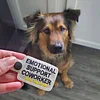 Summer Exclusive 49% OFF Emotional Support Coworker Keychain