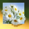 Flower | Full Round/square Diamond Painting Kits