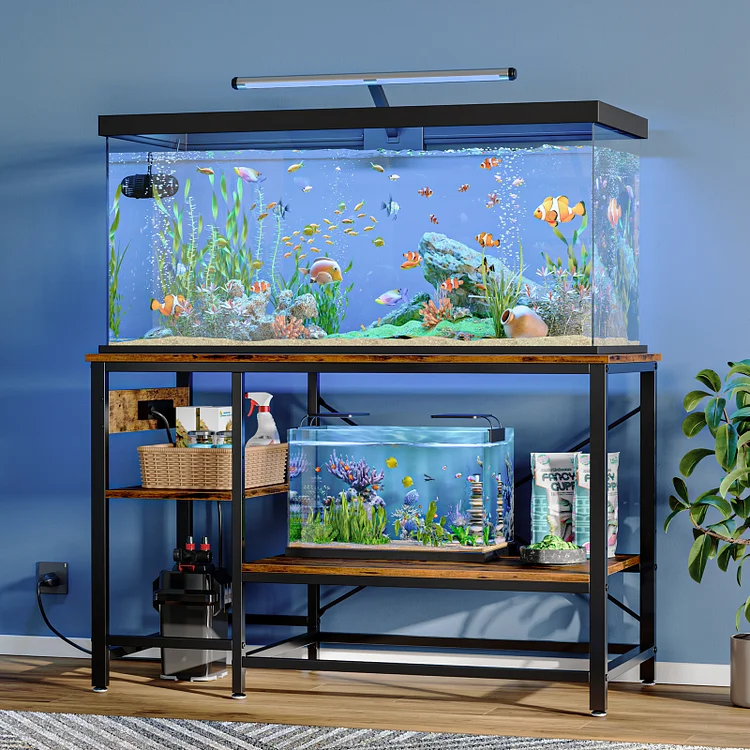 Fish aquarium with stand best sale