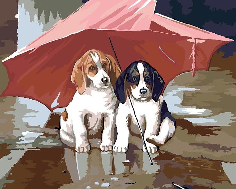 

Dogs in Rain – Paint By Numbers - 40*50CM, 501 Original