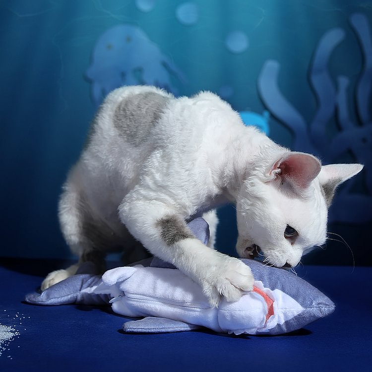 Flopping Shark Cat Toy 1