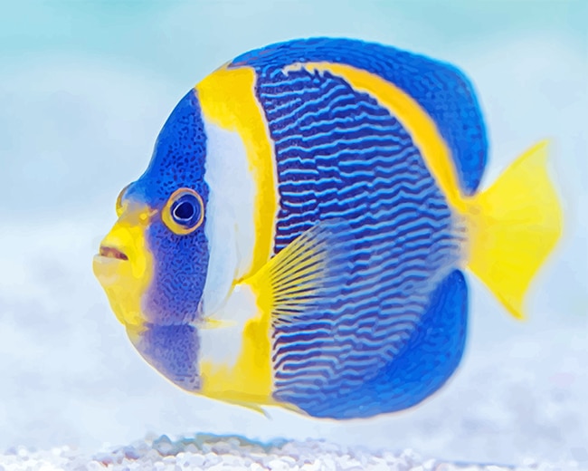 

Blue and Yellow Fish – Paint By Numbers - 40*50CM, 501 Original