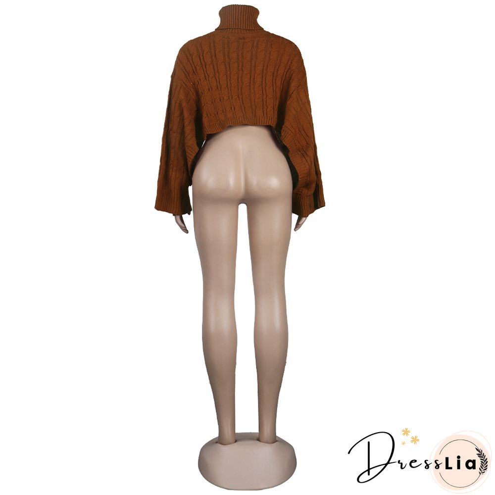 Solid Color Turtleneck Bat Sleeve Sweater Crop Top