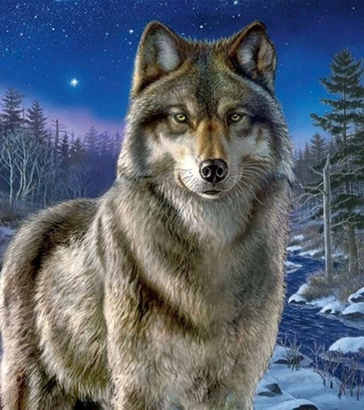 Diamond Painting - Full Round/Square Drill - Wolf(30*40 - 50*60cm)