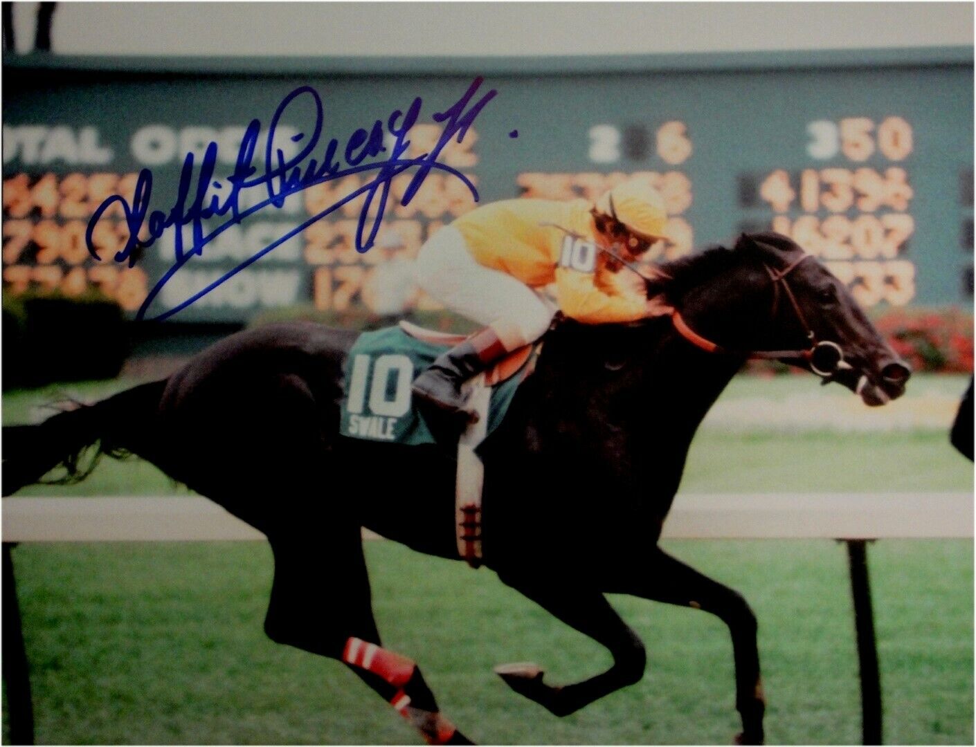 Laffit Pincay Jr Hand Signed Autographed 8x10 Photo Poster painting Kentucky Derby 1984 Blue Ink