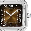 Rel&oacute;gio Santos de Cartier WSSA0064