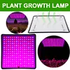 45W 225 LED Grow Lamp Red Blue LED Indoor Grow Lights Full Spectrum Plant Lamp