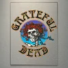 Grateful dead - Acrylic Wall Art - 30*40cm