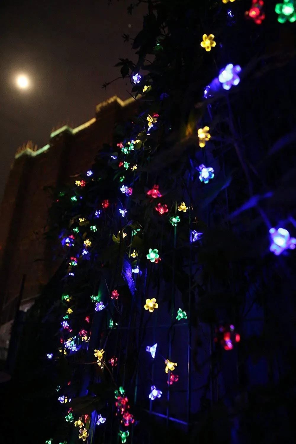Outdoor LED Solar String Flower Lights for Garden & Pond