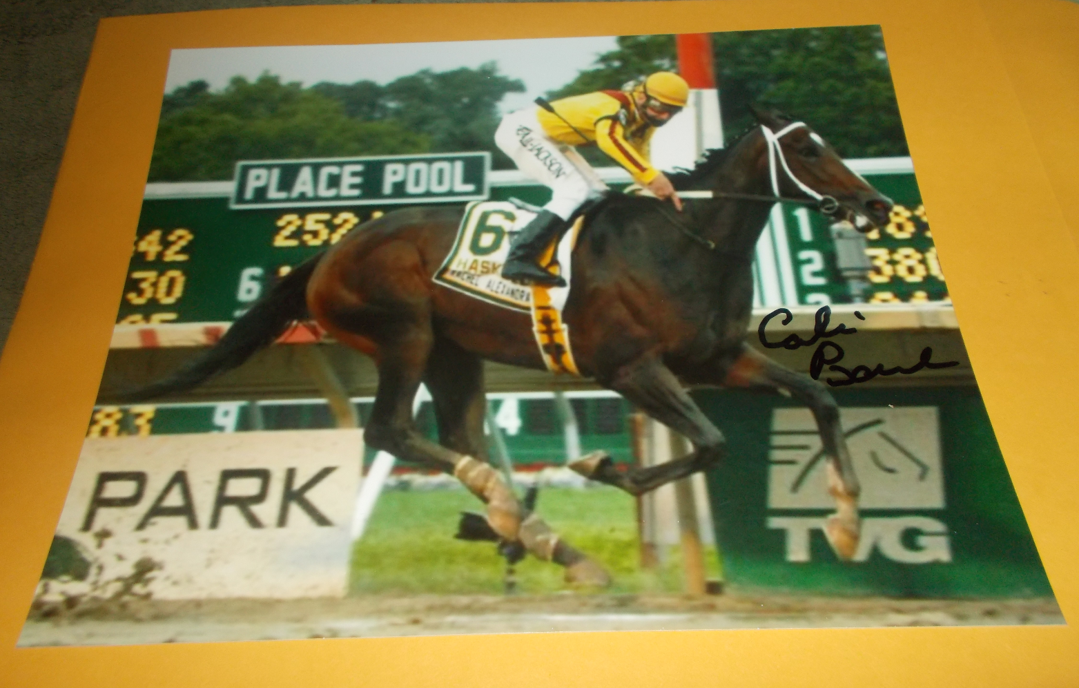 CALVIN BOREL RACHEL ALEXANDRA HASKELL INVITATIONAL 8x10 HORSE RACING Photo Poster painting