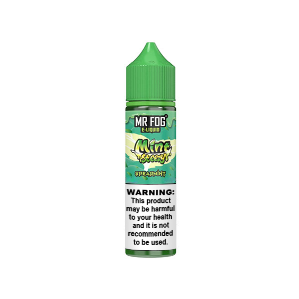 MR FOG MINT STEEZY 60ML Spear 3MG