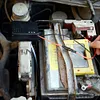 Ultrasonic Electronic Mouse Repellent 12V Rat Repellent Non-Toxic for Auto Truck
