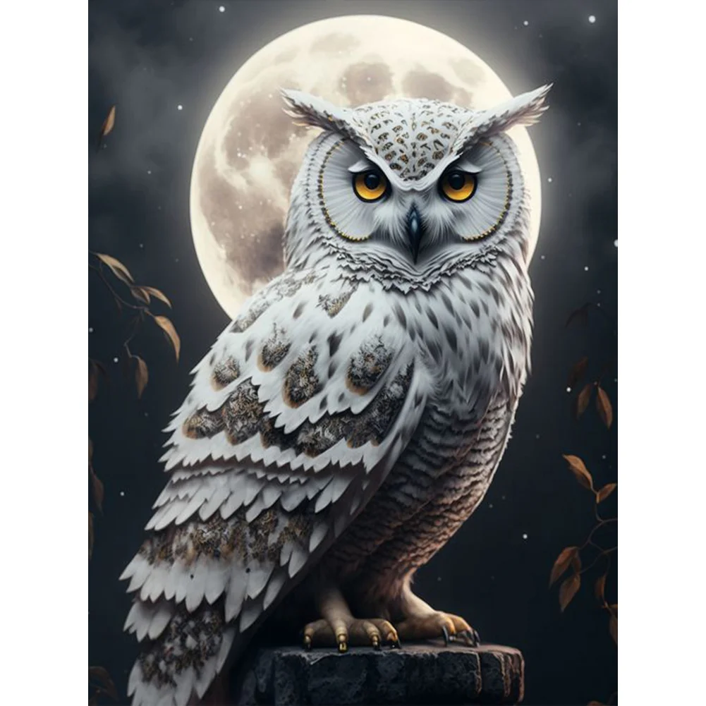 Full Round Diamond Painting - Owl(30*40cm)