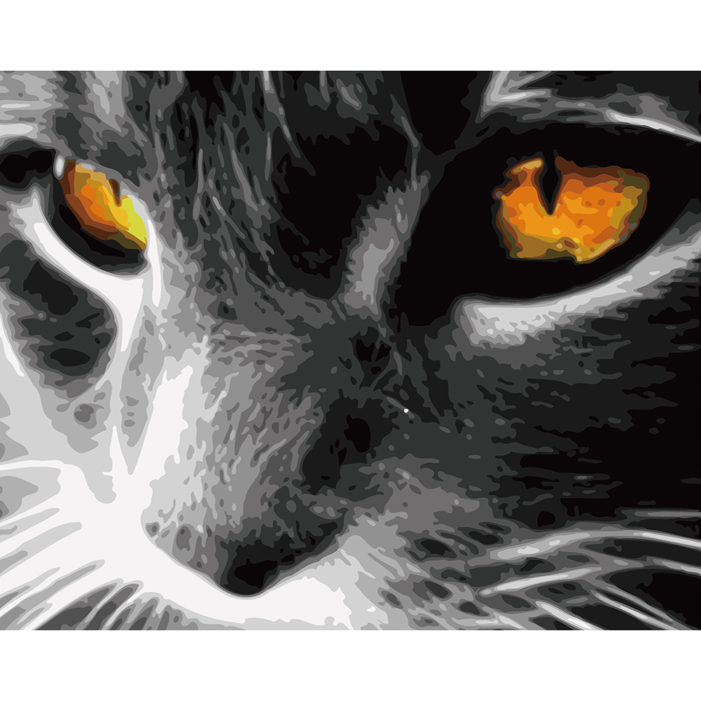 

40*50cm - Painting By Numbers - Cat Eyes, 501 Original