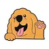Amigo Feliz Canino
