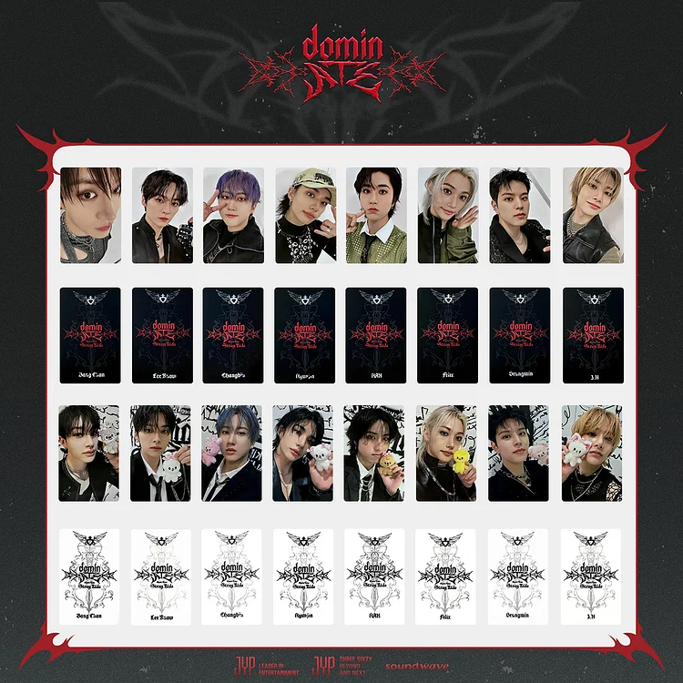 Stray Kids DominATE Tour in seoul Stayzone Card