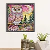DIY Partial Special Shaped Drill Diamond Painting-Owl