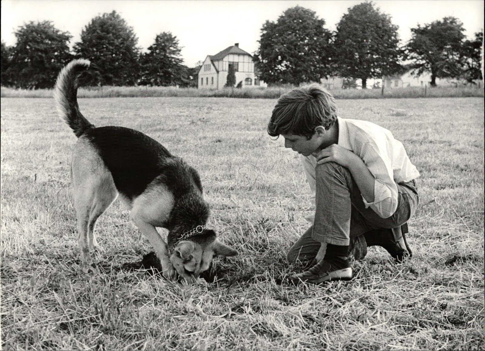 Heintje With Shepherd - Vintage Press Photo Poster painting Photo Poster painting Norbert Unfried (U-4680