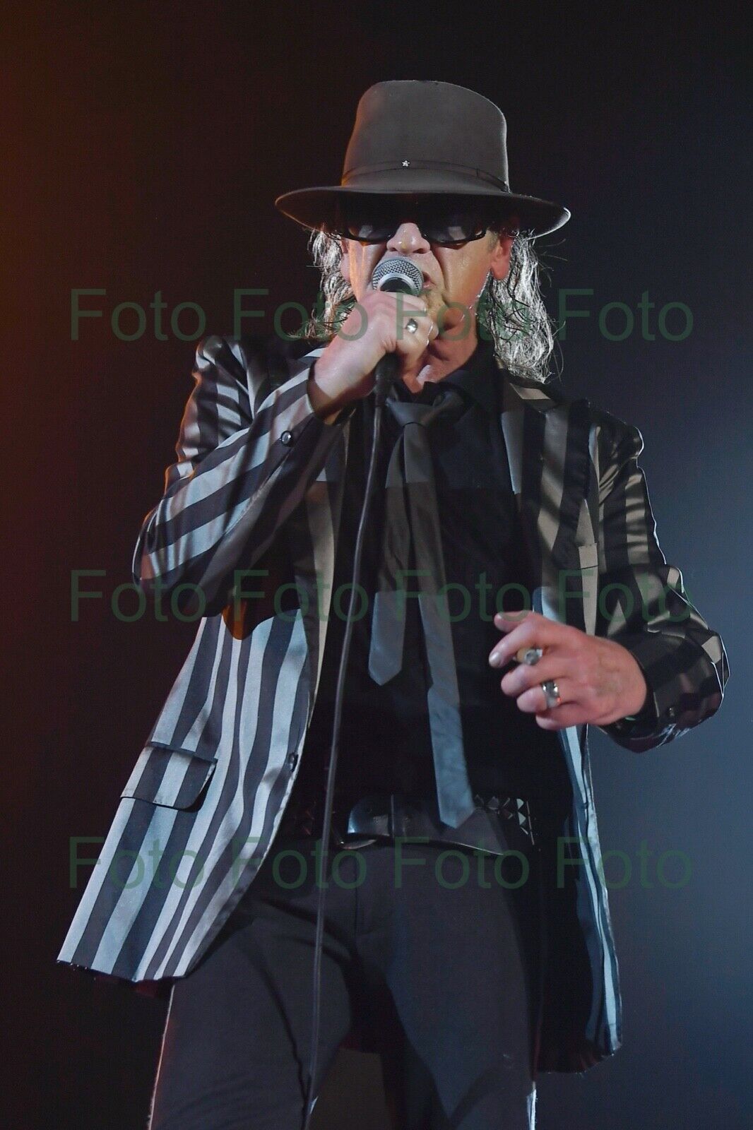 Udo Lindenberg Rock Music Painter Photo Poster painting 20 X 30 CM Without Autograph (Be-62