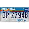 50 U.S. States - Car License(6*12Inch) - Garage