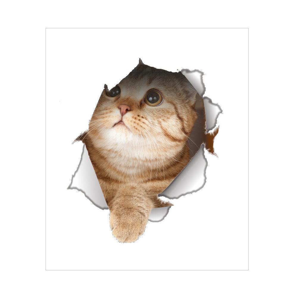 

14147 Cat Vivid 3D Smashed Switch Wall Sticker Bathroom Kicthen Decorative, 501 Original