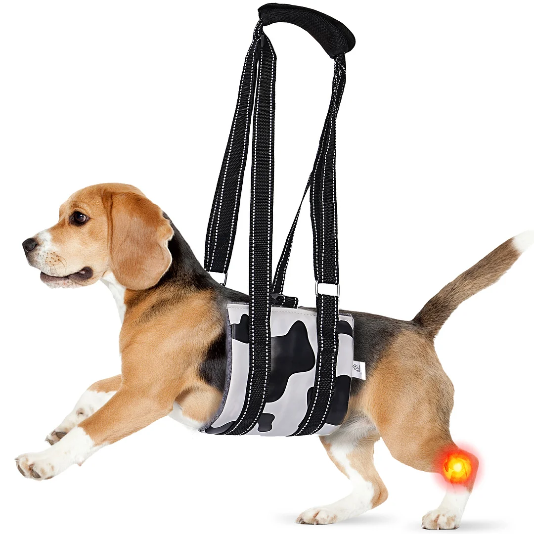 Dog Lift Harness Large Small Medium Sized Dogs,Dog Sling Support Harness Rear for Back Legs Senior Assist Hip Recovery Black White (M)