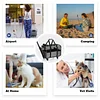 Pet Carrier- Airline Approved Dog Carrier with Wheels: Pet Travel Carrier, Cat Carrier with Telescopic Handle – Ideal for Dogs and Cats Easy to Fold