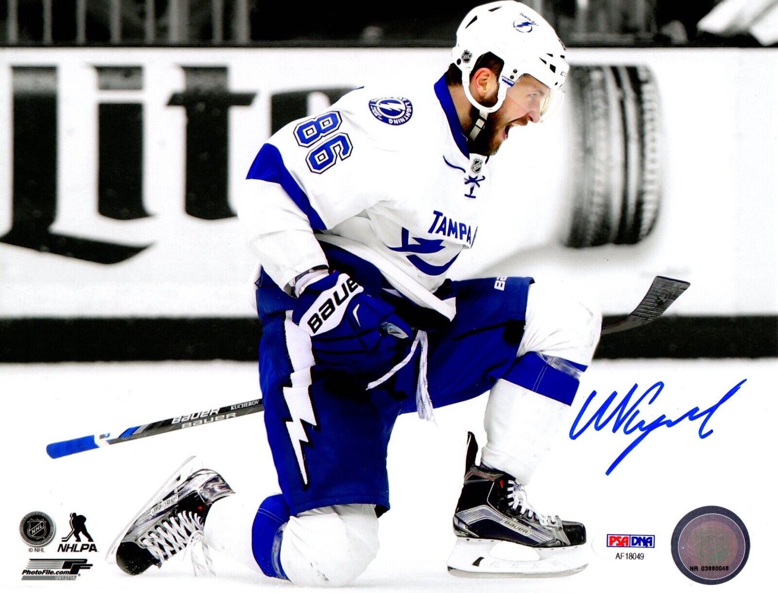 Nikita Kucherov autographed signed 8x10 Photo Poster painting NHL Tampa Bay Lightning PSA COA