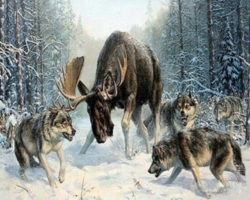 

Deer Vs Wolfs – Paint By Numbers - 40*50CM, 501 Original