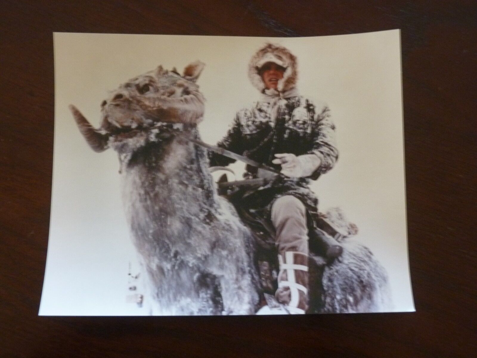 Harrison Ford Empire Strikes Back Movie Actor 8x10 Color Promo Photo Poster painting Star Wars