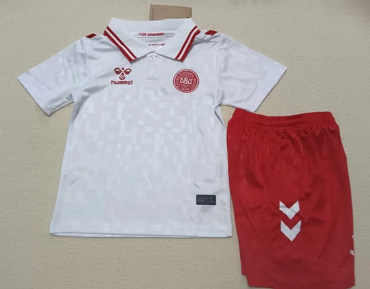 24-25 Denmark away jersey children's clothing