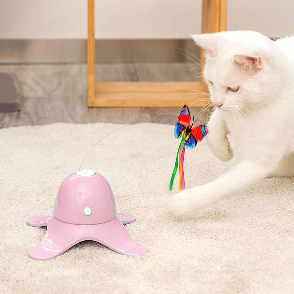 battery operated butterfly cat toy