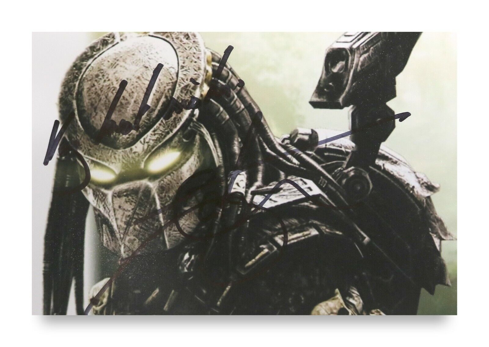 Ian Whyte Signed 6x4 Photo Poster painting Alien Vs. Predator GOT Autograph Memorabilia + COA