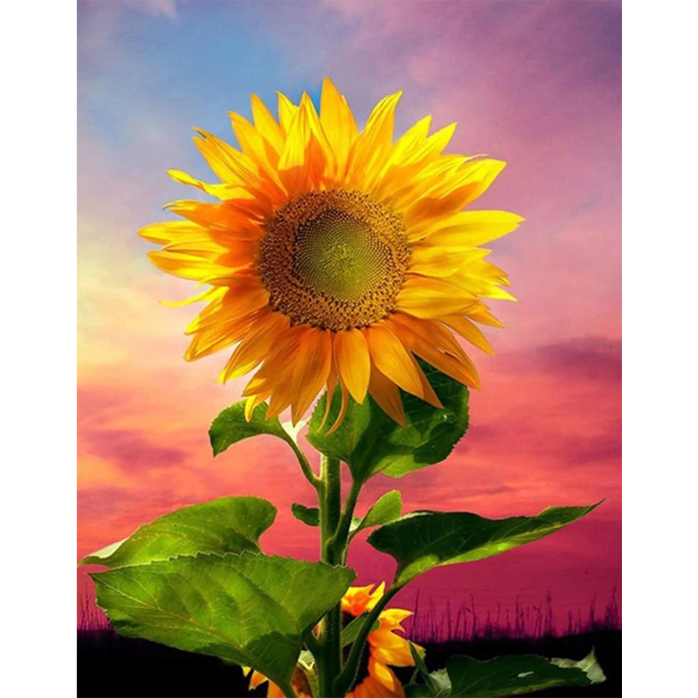 

Sunflower - Round Drill Diamond Painting - 30*40CM, 501 Original