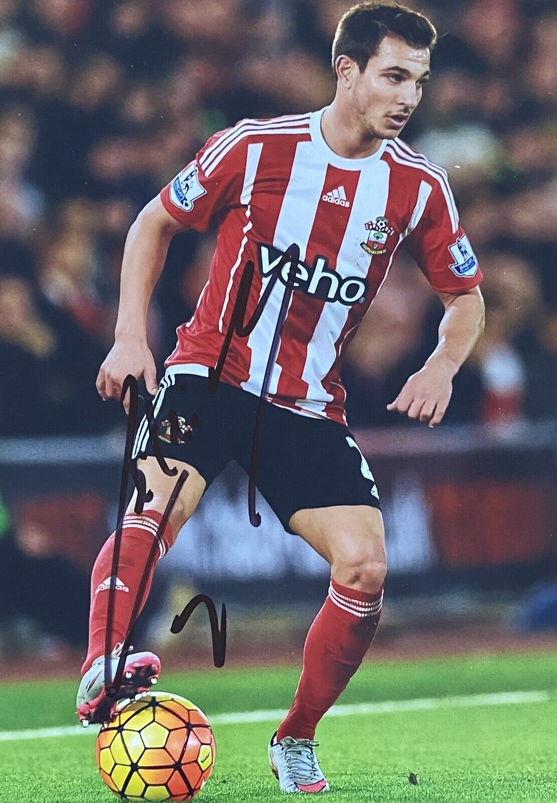 Cedric Soares Genuine Hand Signed Southampton 6X4 Photo Poster painting