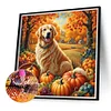 Diamond Painting-DIY Full Round Drill Autumn Dog(40*40CM)