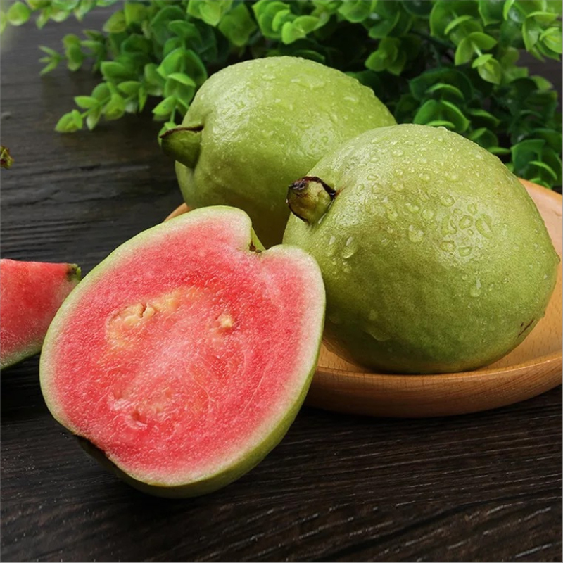 Pink Guava Seeds for Planting- Suitable for Pots,Greenhouses, and Outdoor Gardens