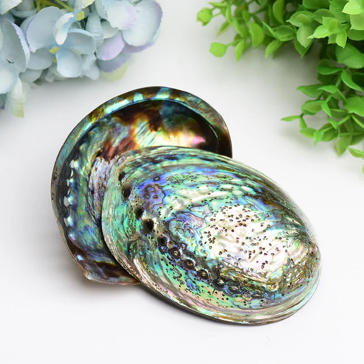 5.0" Aura Shell Free Form Bulk Crystal