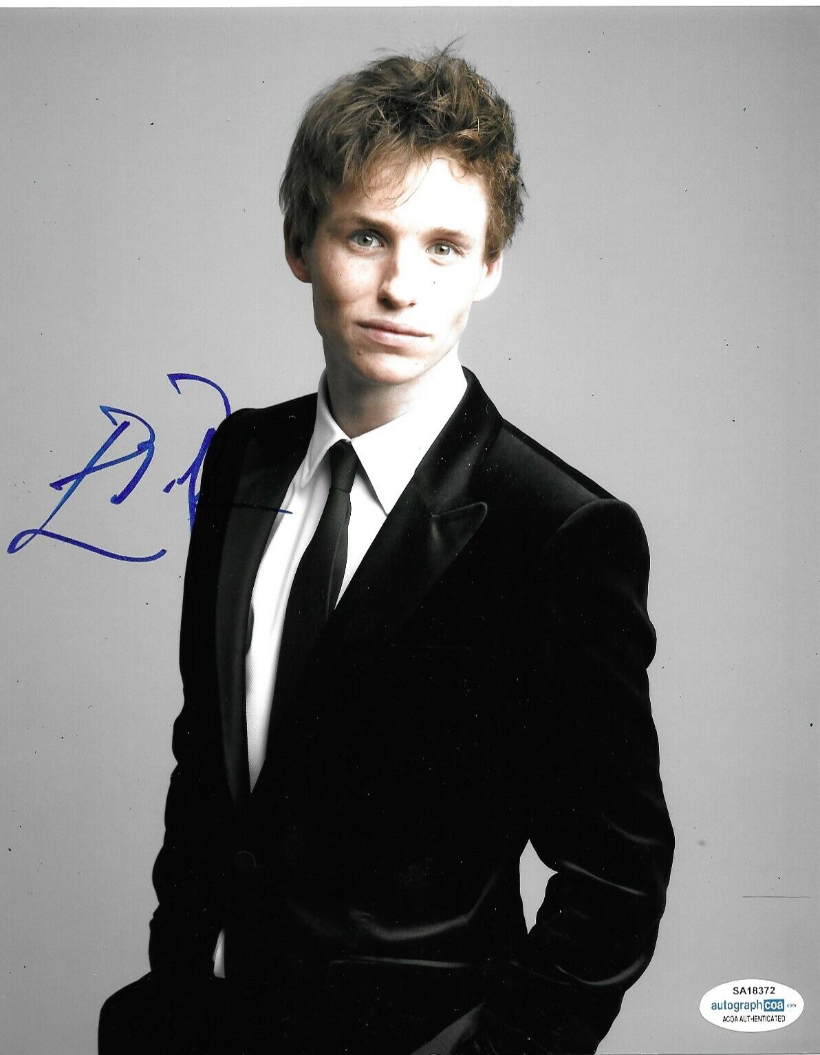 Eddie Redmayne Signed 10x8 Photo Poster painting AFTAL ACOA