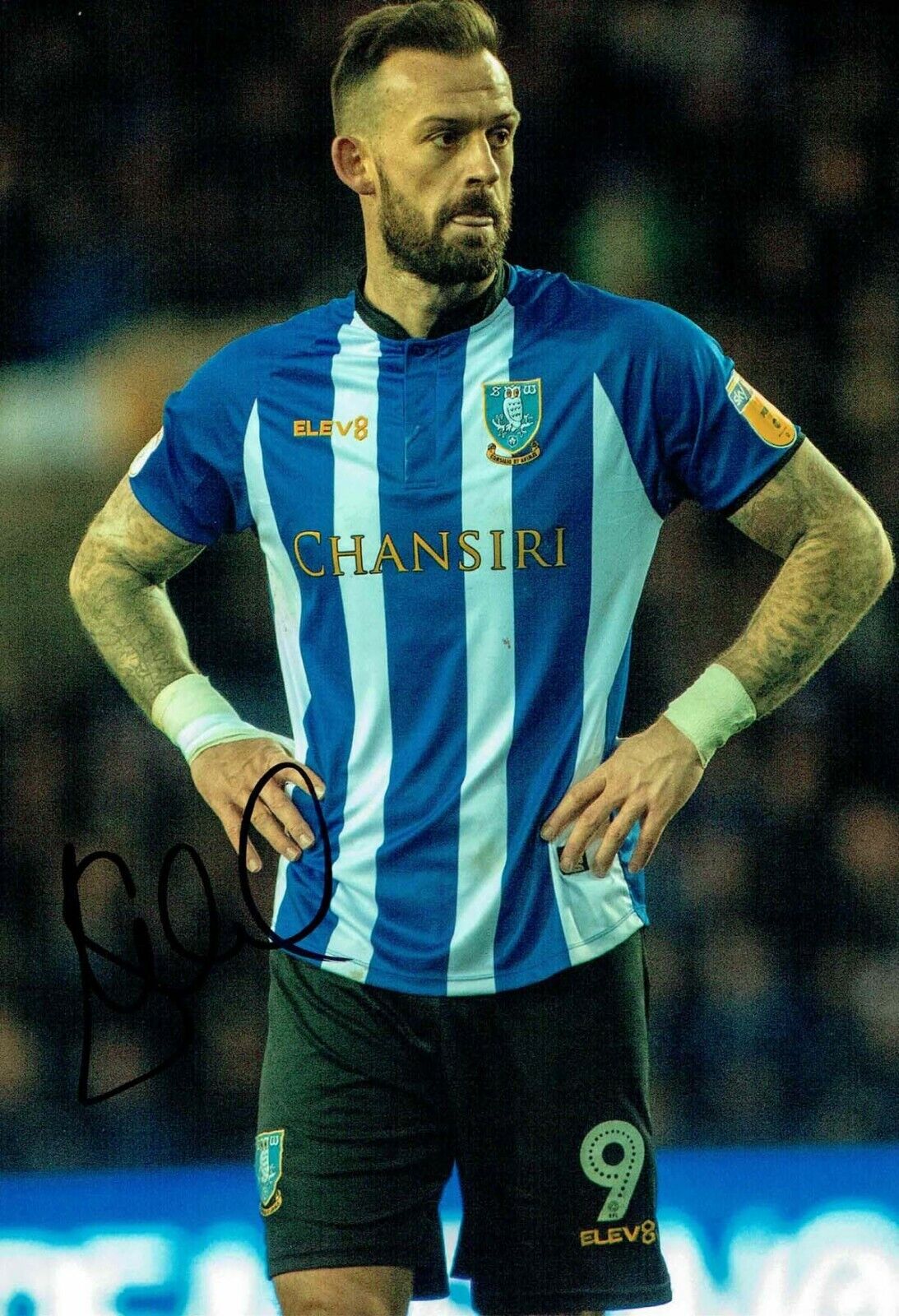 Steven FLETCHER Sheffield Wednesday SWFC SIGNED 12x8 2018/19 Photo Poster painting 2 AFTAL COA