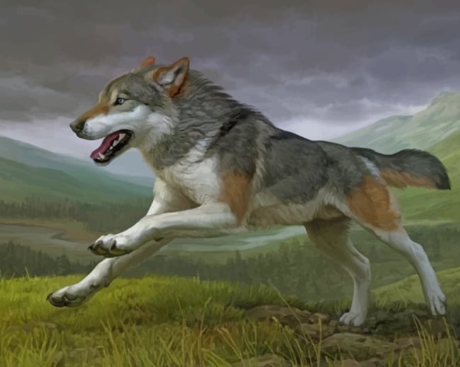 

Running Wolf – Paint By Numbers - 40*50CM, 501 Original