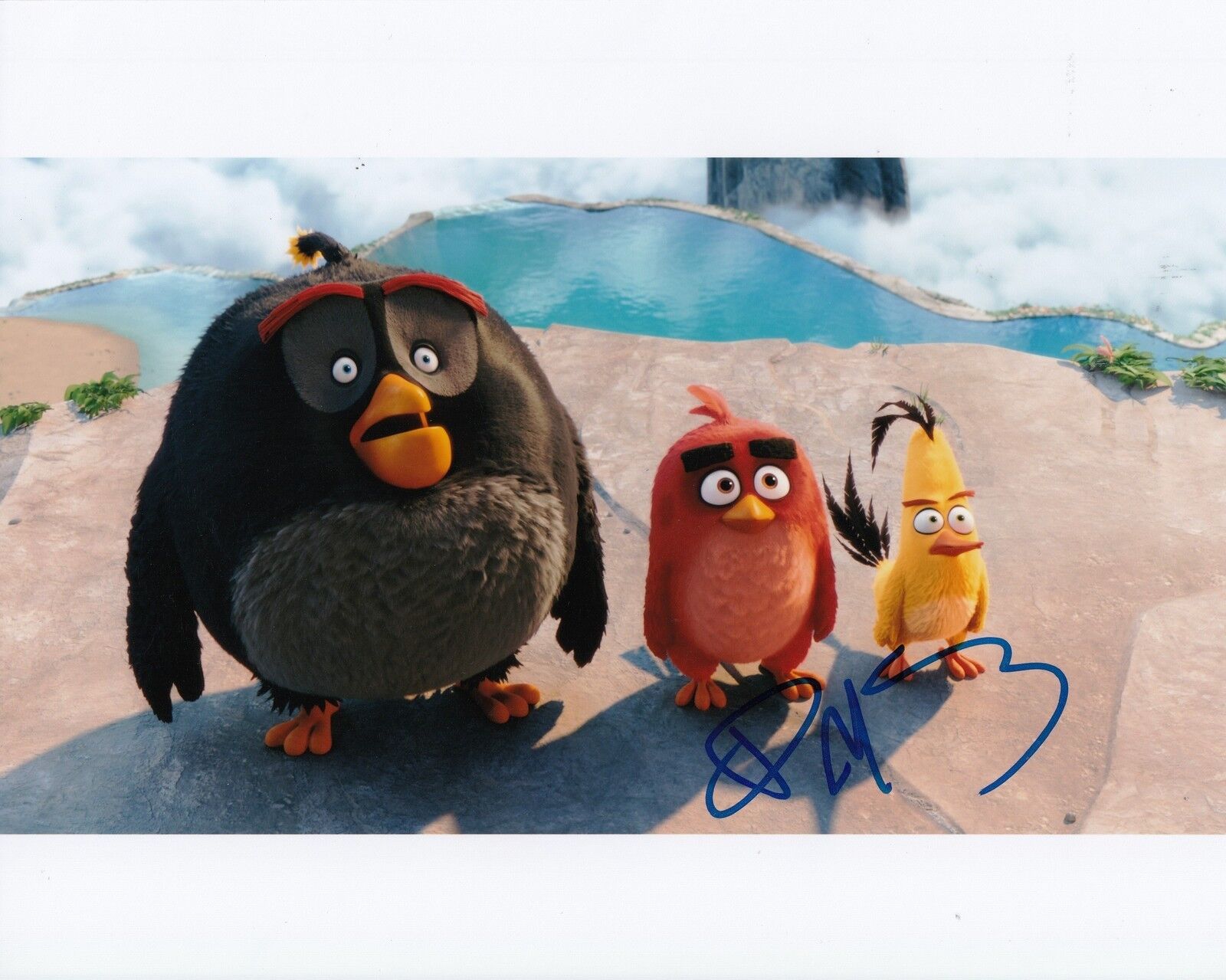 DANNY MCBRIDE signed (ANGRY BIRDS) MOVIE 8X10 Photo Poster painting *BOMB* autographed W/COA #1