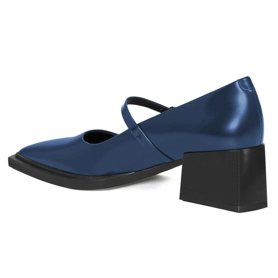 Classic Navy Pointed Toe Chunky Heel Buckle Strap Mary Jane Shoes