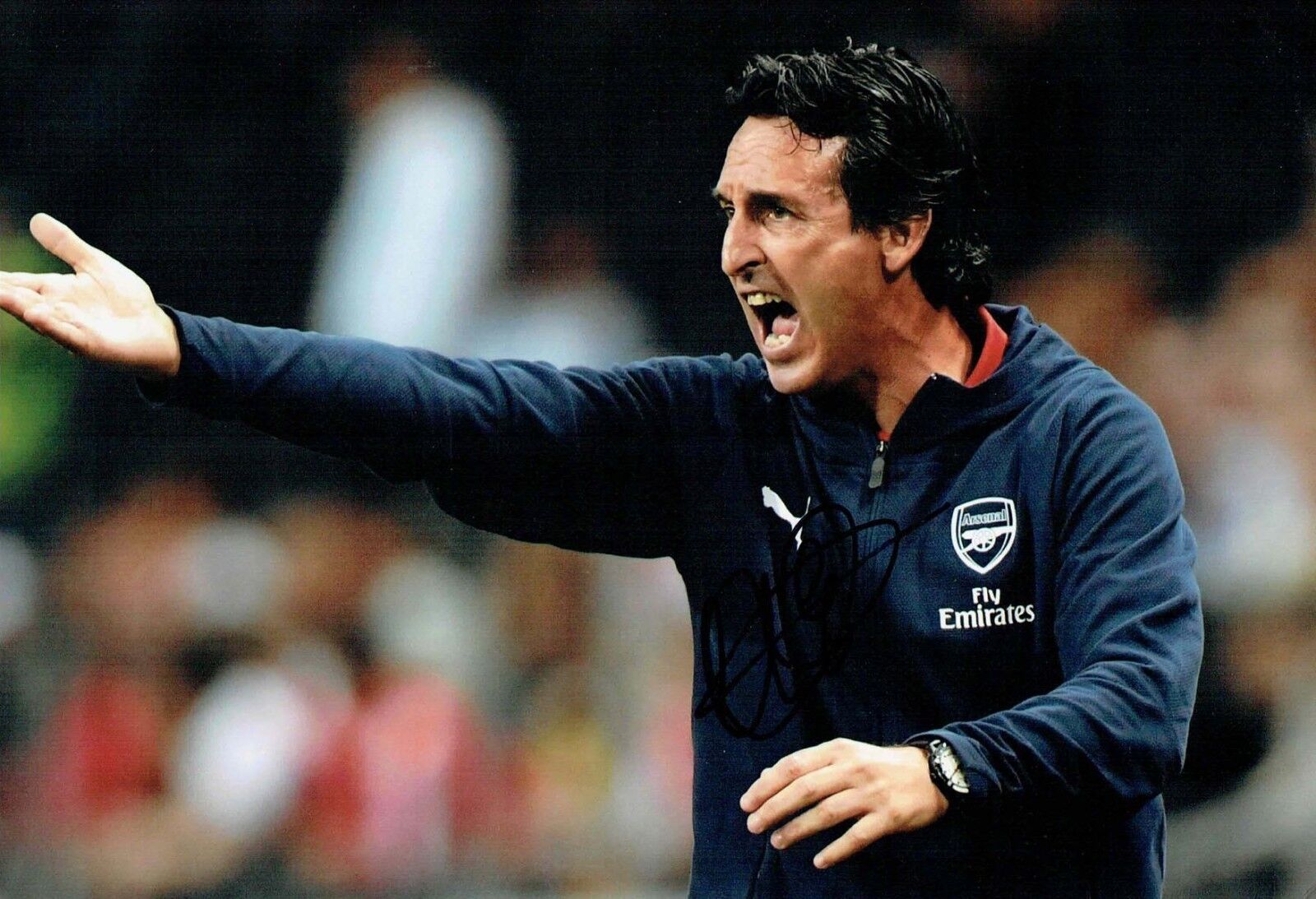 Unai EMERY Arsenal Manager Head Coach SIGNED COA Autograph 12x8 Photo Poster painting AFTAL