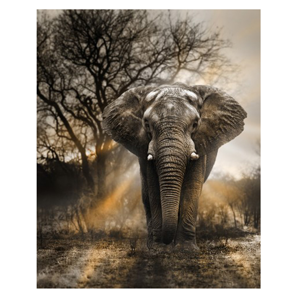 

(Multi-Size) Elephant - Round/Square Drill Diamond Painting - 40*30CM, Round diamond 30*40cm, 501 Original