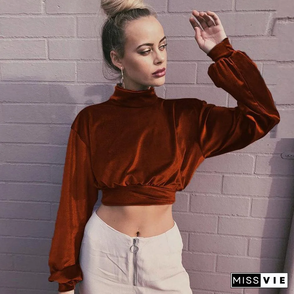High Neck Midriff Baring Velvet Long Sleeve Top